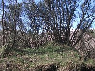 fugio Paterno-20100221 024